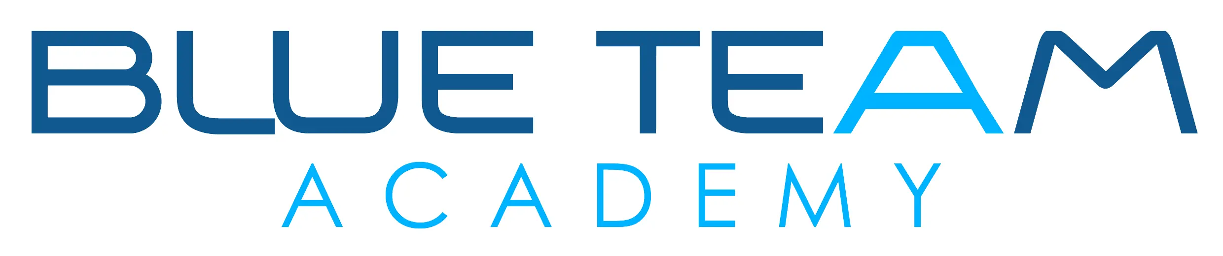 Logo-Blue-Team-Academy